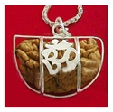 Picture of One Mukhi Rudraksha with Silver Pendant