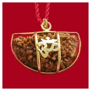 Picture of One Mukhi Rudraksha with Gold Plated Silver Pendant