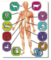 Picture of Medical Astrology