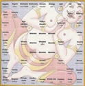 Picture of VASTU TIPS FOR YOU